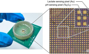 New Sensor Monitors Biomolecule Dynamics