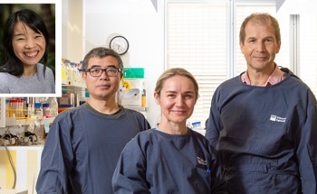 Researchers Develop Protein-Based Nanomachines to Detect Lanthanides