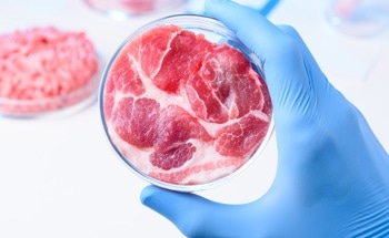 New Electrochemical Sensor Enhances Detection of Antibiotic Residues in Food