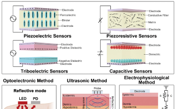 AI Algorithms for Real-Time Analysis of Wearable Blood Pressure Sensor Data