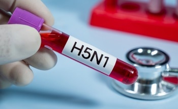 Low-Cost Capacitive Biosensor for Real-Time Detection of Bird Flu