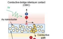 New Electrode Breakthrough Paves the Way for Next-Gen 2D Semiconductor Image Sensors