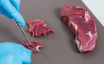 New Smart Sensor Detects Spoiled Meat Before You Can Smell It