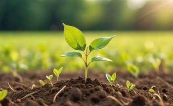 New Fluorescent Nanosensor Tracks Iron in Plants in Real Time, Boosting Agricultural Insights