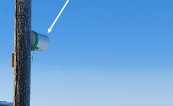 New Low-Cost GNSS Sensor to Track the Impacts of Climate Change