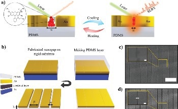 Real-Time Nanogap Tuning for Enhanced Molecular Analysis