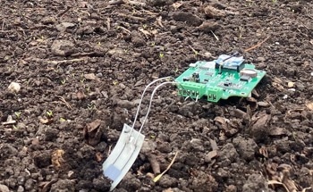 Biodegradable Soil Sensors Boost Yields and Reduce E-Waste