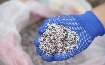Carbon Quantum Dot-Based Sensor Offers Sensitive Detection of Nitrofen in Aquatic Environments