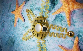 Novel Five-Armed Wearable Overcomes Motion Artifacts in Heart Signal Monitoring