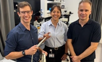 Quantum-Powered Laparoscopic Probe for Precise Gastrointestinal Cancer Surgery