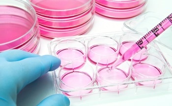 Next-Gen Biosensor Uses Firefly Enzyme to Measure pH in Real Time