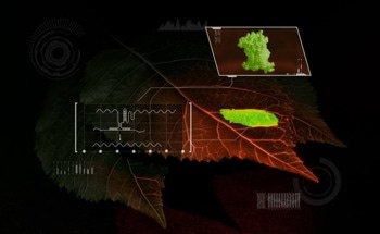 Scientists Develop Real-Time RNA Biosensor for Living Plants