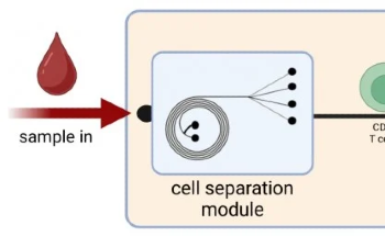 New Microfluidic Biosensor Enables Rapid, On-Site Monitoring of CD4+ T Cells for HIV Care