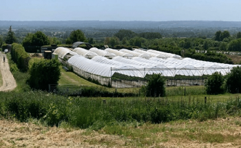 Greenwich University Use BF5 Solar Sensor in Greenhouse Solar Panel Research
