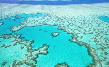 KAUST Scientists Develop High-Resolution Satellite Tool to Track Coral Bleaching in Real Time