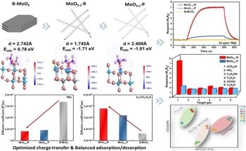 New Mechanistic Insights into Interfacial Redox Engineering