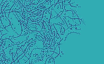 New Test Spots Colorectal Cancer Early by Profiling Microbiome RNA