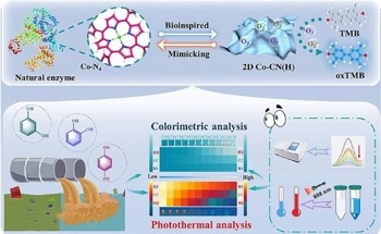Advanced Cobalt Nanozyme Platform for Simultaneous Colorimetric and Photothermal Sensing
