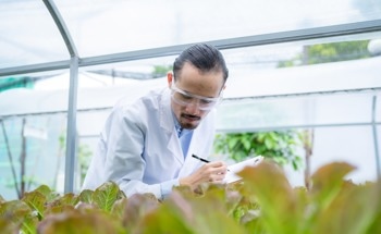 Tiny Plant Sensor Tracks Real-Time Sugar Uptake Through Stomata