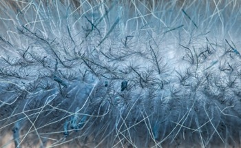 New ‘Electric’ Fabric Could Power Wearable Health Sensors