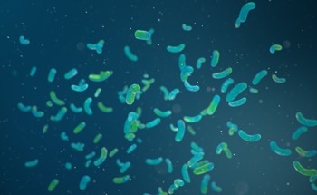 Reduced Graphene Oxide Biosensor Enables Ultra-Sensitive E. coli DNA Detection