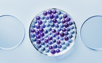 Ultrasound-Responsive Liposomes Deliver Drugs And Modulate Brain Activity With Precision
