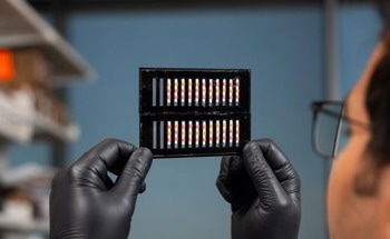 Low-Cost Paper Test for Detecting GM Corn and Soybean in the Field