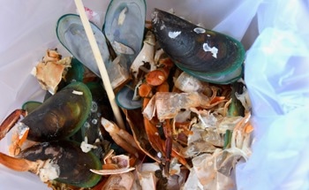 QUT Researchers Create a Sustainable Electronic Device from Fish Waste