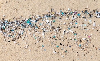 Study Introduces Microbial Biosensor with Raman Spectroscopy for Microplastic Detection