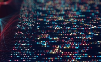 Optimized Quantum Networks Aids in Hunt for Ultralight Dark Matter