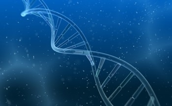 Watching DNA Repair Itself without Cell Disruption with New Sensor