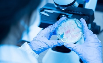 Study Streamlines Point-of-Care Diagnostics with Portable IsoHeat Technology