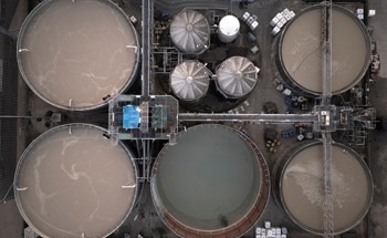 Sewage Sludge Becomes Disposable Device for Detecting the Antibiotic Trimethoprim