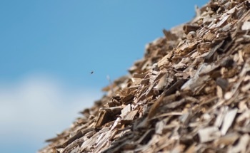 Biodegradable Electronic Sensors Printed Entirely from Biomass