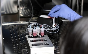 Dynamic42 Closes a Critical Gap in Organ-On-Chip Research by Embedding Oxygen Sensing