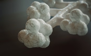 Alveoli Inspired Sensor Detects Ammonia in Seconds