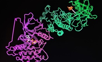 Immuno-Infrared Sensor Detects Protein Misfolding Early