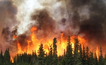 NASA FireSense Project Develops Real-Time Heat Monitoring System for Fire Dozers