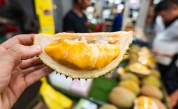 Multimodal Sensors Classify Durian Ripeness With 96.91% Accuracy