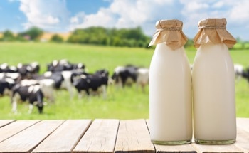 Electrochemical Sensor Detects Trace Antibiotic Residues in Milk
