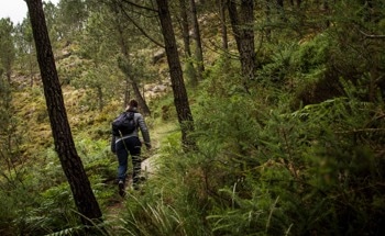 Multimodal In-Ear Sensors Estimate Energy Expenditure During Outdoor Activity
