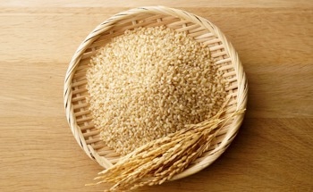 Magnetic Kirigami Sensor Tracks Sap Flow and Drought Stress in Rice