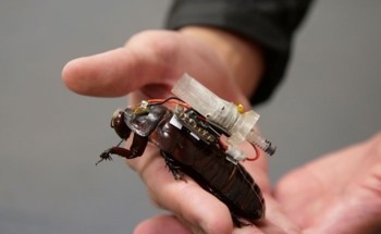 Paramedic Cockroaches: Cyborg Care When Rescuers Can’t Reach