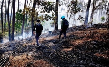 Universitas Brawijaya Forest Operates Thermal Drone to Strengthen Fire Mitigation