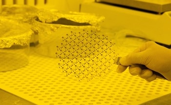 Biosensors for Rapid Prevention of Contamination in Food and Water