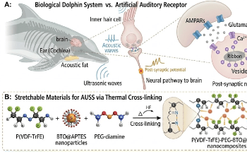 SKKU Develops Artificial Sensory Device That Stretches Like Rubber and Converts Underwater Ultrasound Into Neural Signals