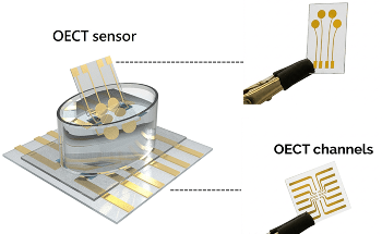 Electronic Sensor Detects Early Parkinson’s Markers in Blood