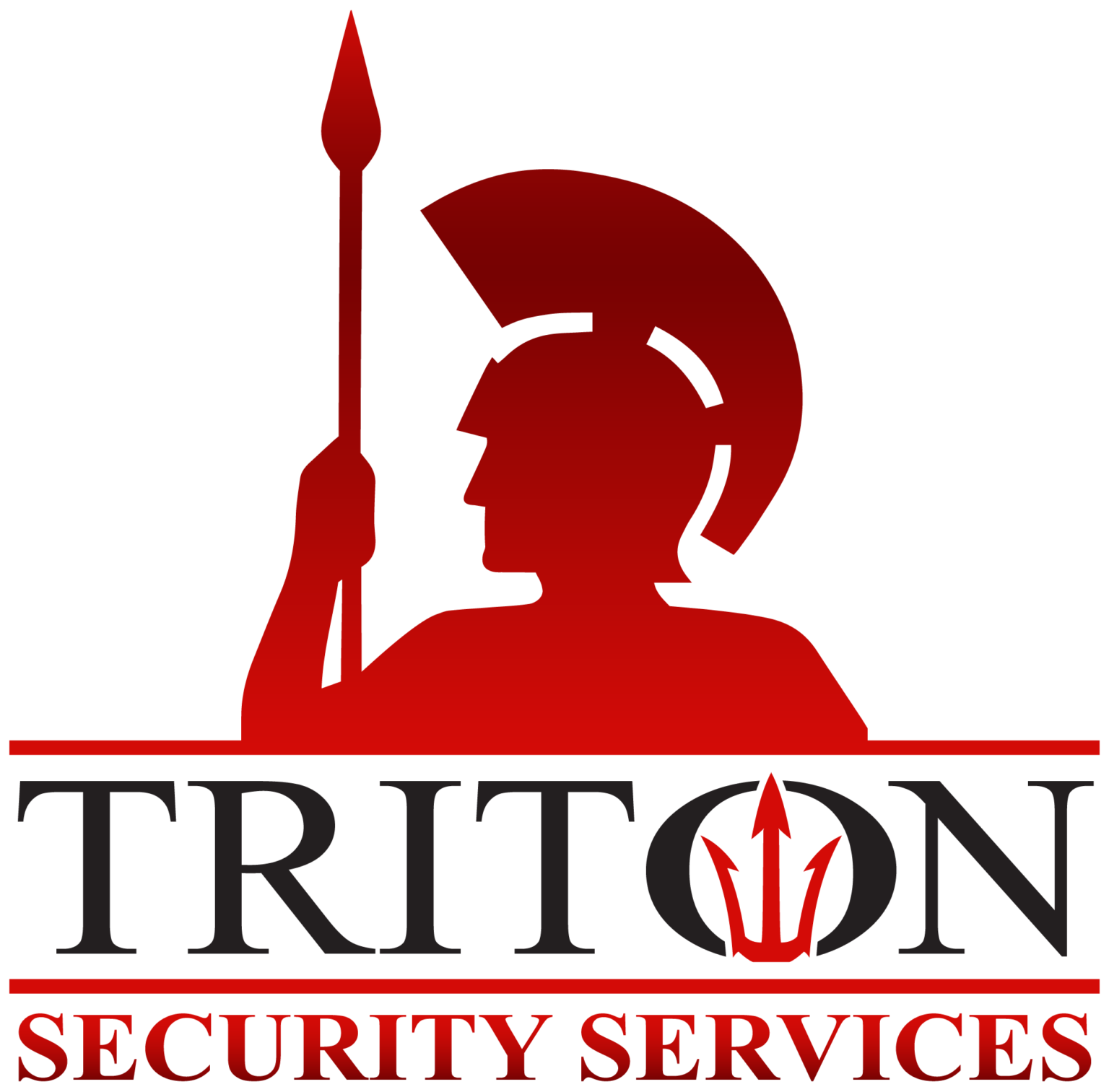 Triton Security logo.