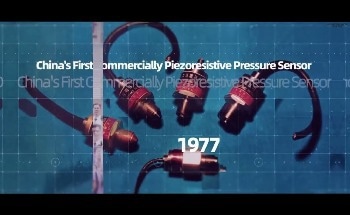 Micro Sensor-Global Industrial Instrumentation Manufacturer